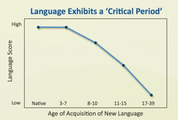 patricia-kuhl-graph